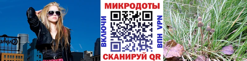 hydra ТОР  Приозерск  Псилоцибиновые грибы мухоморы 